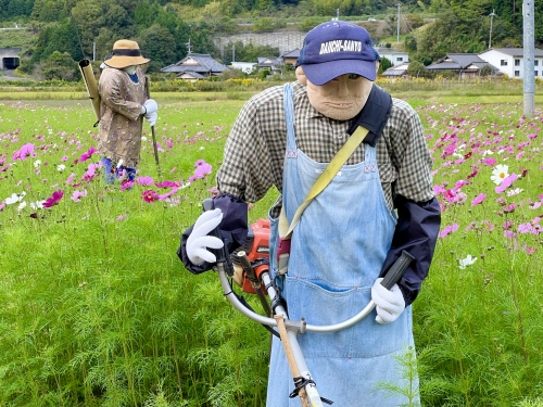 写真 2022-10-22 8 29 10.jpg